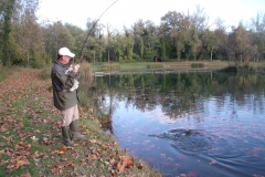 DSCF3209_30 Octobre 2017_ Dominique_Rohrkopf