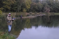 IMG_20171009_113615 IMG_20171009_113615